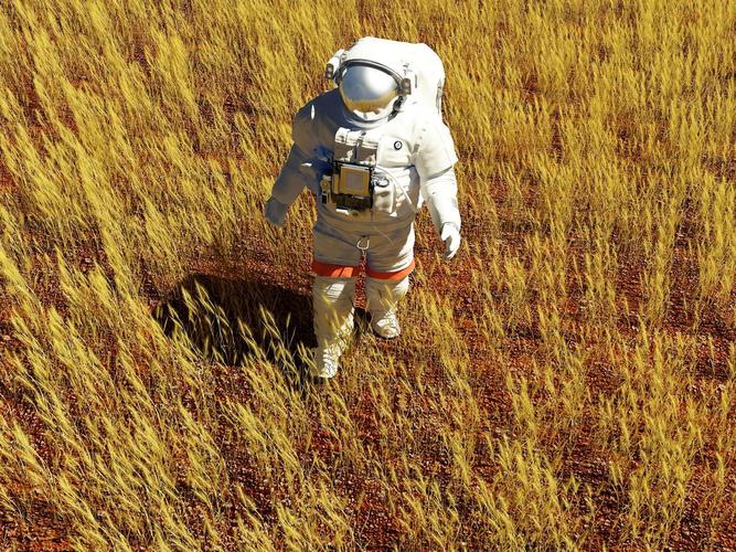 黄色麦田的宇航员在农田里准备收割的黄色谷物麦田 收获 风力发电厂